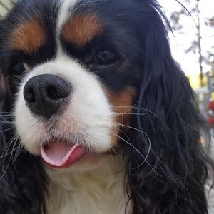 Meet your Posher, Cathy